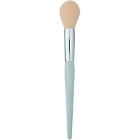 Ensemble De Pinceaux Chic Écolo