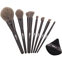 Best Of Pro Series Brush Set