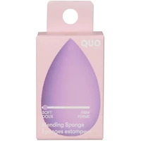 Blending Sponge