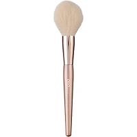 Back to Basics Brush Set