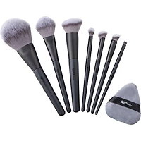 Best of Pro Series Brush Set
