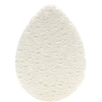 Cellulose sponge 2 PK