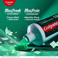 Dentifrice MaxFrais menthe pure