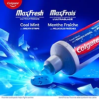 Dentifrice MaxFrais à la menthe fraîche