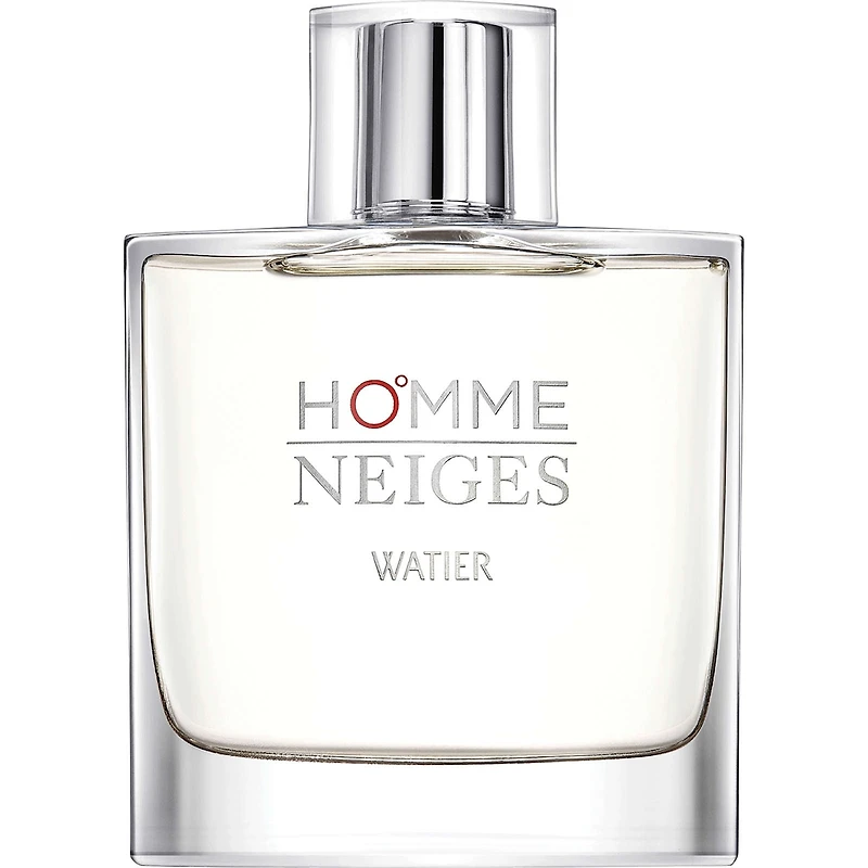 Homme Neiges Eau de Toilette Spray