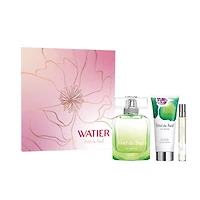 Coffret Vent du Sud