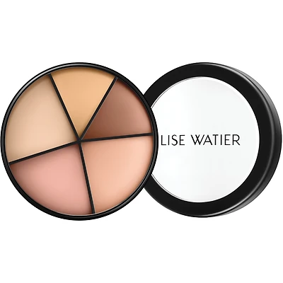 Portfolio Professional Correctors 4-in-1 for Lighter Complexions