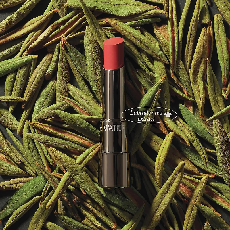 Rouge Fondant Suprême