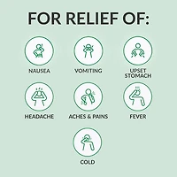Ginger Multi-Symptom Cold and Fever Tablets with Willowbark
