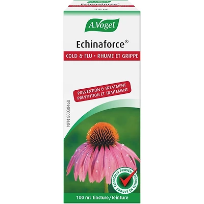 Echinaforce Immune Support for cold and flu