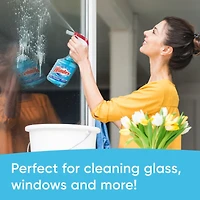 Windex® Original Cleaner