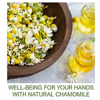 Hand Creams Gift Set 3-pc