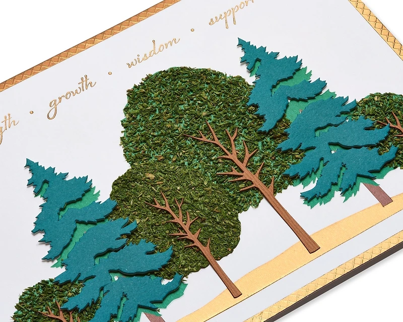 Carte de la fête des Pères Papyrus pour papa (tu as fait toute la différence dans ma vie)