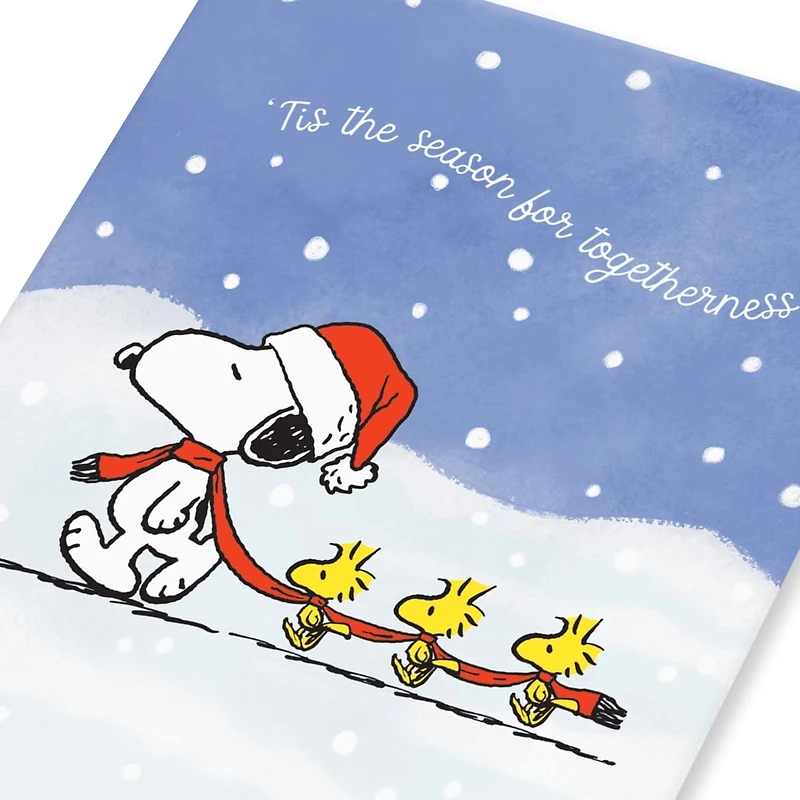 Boîte de cartes de Noël Peanuts Papyrus, Snoopy et 1 Woodstock (20 unités)