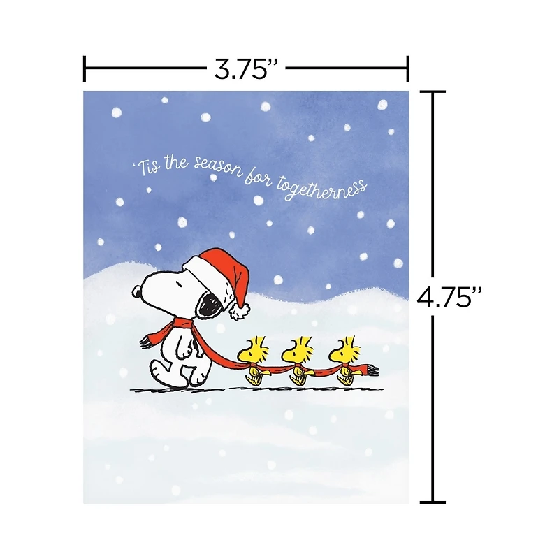 Boîte de cartes de Noël Peanuts Papyrus, Snoopy et 1 Woodstock (20 unités)