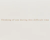 Papyrus Sympathy Card (Thinking Of You)