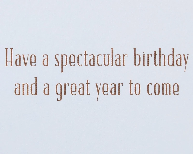 Papyrus Birthday Card for Him (Spectacular Birthday)