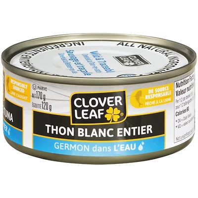 Solid White Tuna Albacore in Water