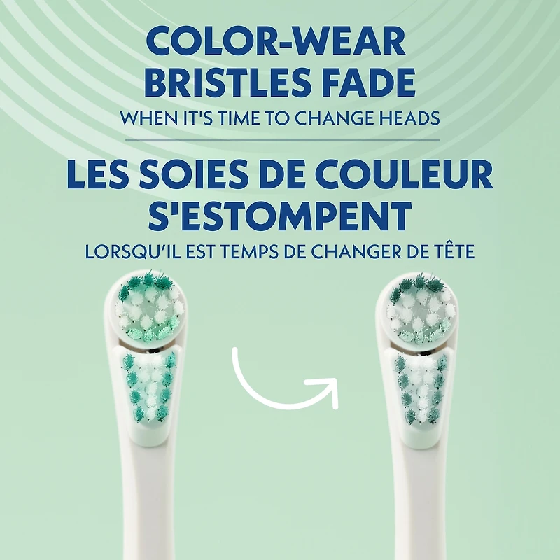 Brosse À Dents À Piles SpinbrushMC PRO WHITEN, Douce