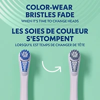 Brosse À Dents À Piles SpinbrushMC PRO CLEAN, Moyenne