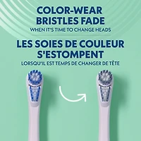 Spinbrush™ PRO CLEAN Replacement Heads, Medium