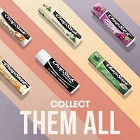 ChapStick Baume pour les Lèvres Classique Cerise Format Économique 2 x 4 g