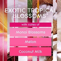 Glade Plugins® Scented Oil Plus Starter Kit - Exotic Tropical Blossoms®