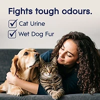 Animaux De Compagnie Branchées® Huile Parfumée Nécessaire De Départ - Compagnon PropreMC