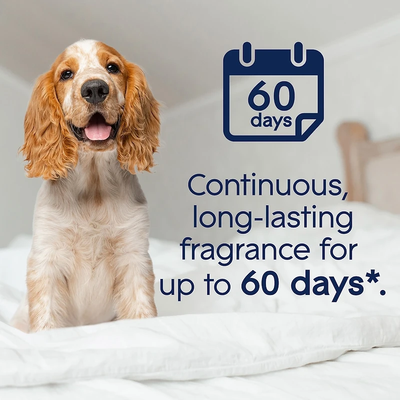 Glade PET Plugins® Scented Oil Refill - Companion Clean™