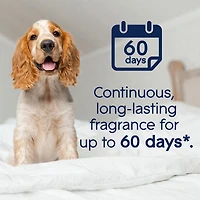 Glade PET Plugins® Scented Oil Refill - Companion Clean™