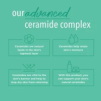 Fragrance Free Original Lotion