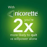 Nicotine Gum, 4 mg, Extreme Chill Mint