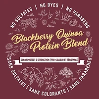 Revitalisant protège-couleur aux mûres sauvages et au quinoa