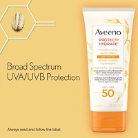 Protect & Hydrate Face Sunscreen Lotion SPF 50