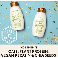 Plant Protein Blend Conditioner