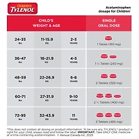 Comprimés à croquer sans colorant pour enfants, pour la fièvre et la douleur, saveur naturelle de petits fruits