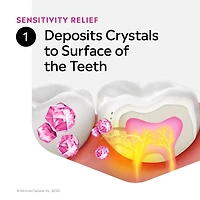 Solutions cliniques sensibilité réduite, rince-bouche antiseptique