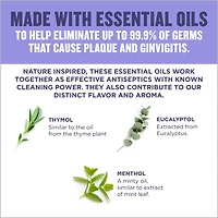 Total Care Zero Antiseptic Mouthwash, Alcohol Free