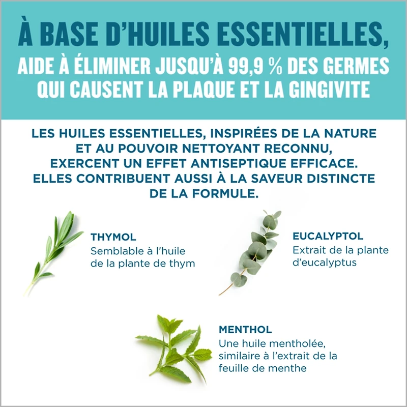 Rince-bouche antiseptique Fresh Burst