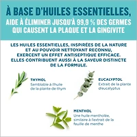 Rince-bouche antiseptique Fresh Burst