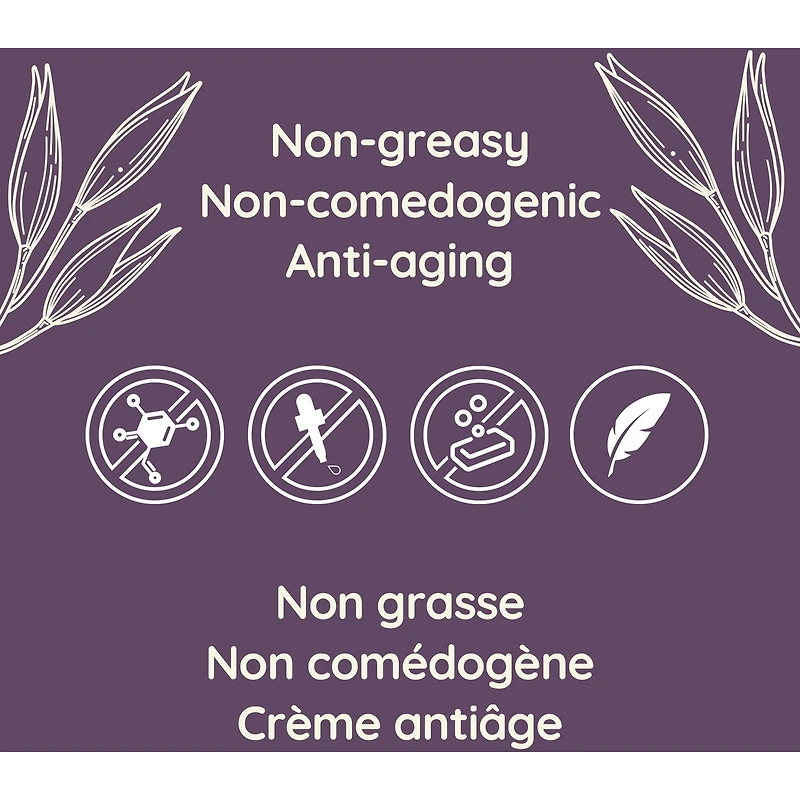 Crème régénérante pour la nuit Absolutely Ageless