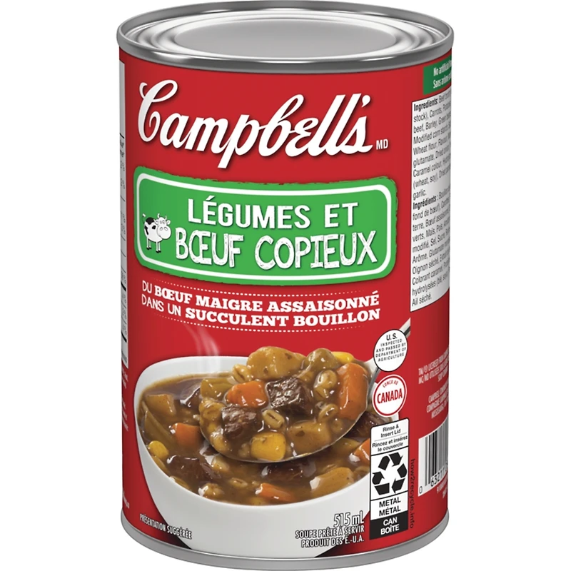 Soupe aux légumes et bœuf copieux prête à déguster