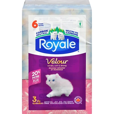 Facial Tissues 3 Ply