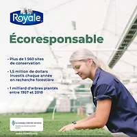 Facial Tissues 3 Ply