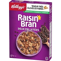 Two Scoops Raisin Bran Cereal