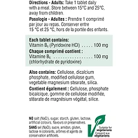 Vitamin B6 100 mg (Pyridoxine)