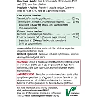 High Potency Curcumin Turmeric