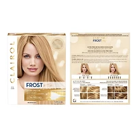 Frost & Tip Original Hair Highlighting Kit