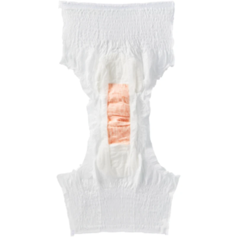Premium DayTime Disposable Absorbent Underwear, Large