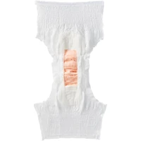 Premium DayTime Disposable Absorbent Underwear, X-Large